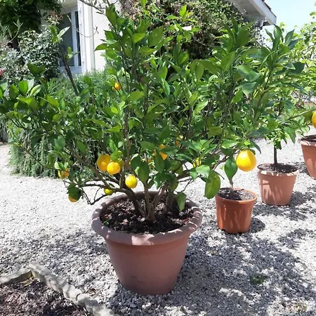 L'oustalet Hébergement de vacances